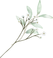 wedding-planners-in-jaipur