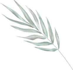 wedding-planners-in-jaipur