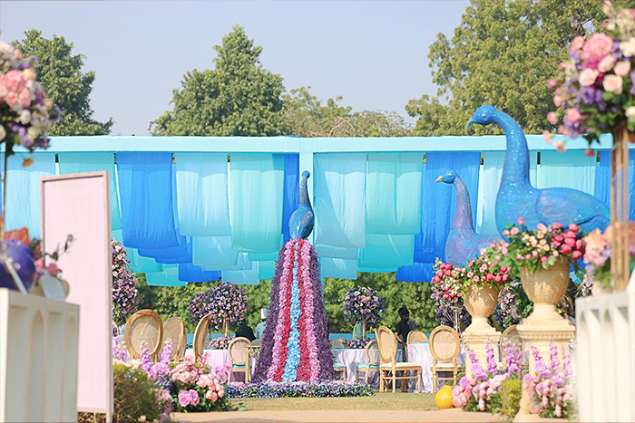 Peacock Theme